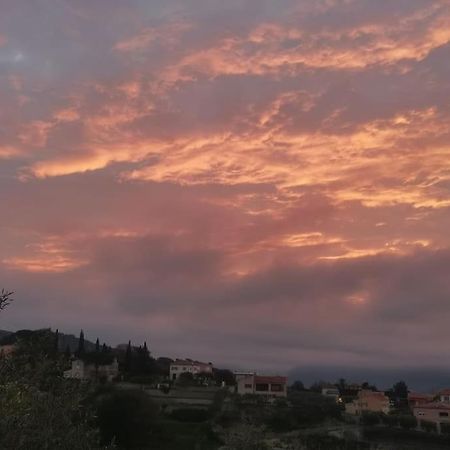 Maison Traditionnelle Sur Les Collines Nicoises Nice Dış mekan fotoğraf