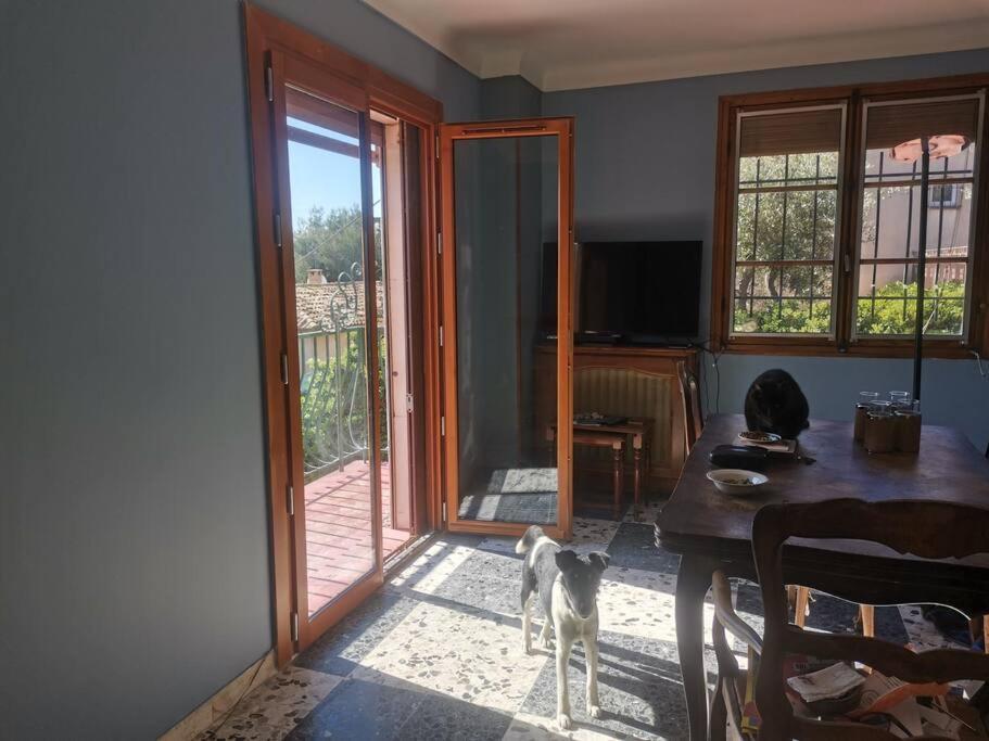 Maison Traditionnelle Sur Les Collines Nicoises Nice Dış mekan fotoğraf