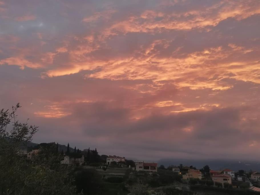 Maison Traditionnelle Sur Les Collines Nicoises Nice Dış mekan fotoğraf