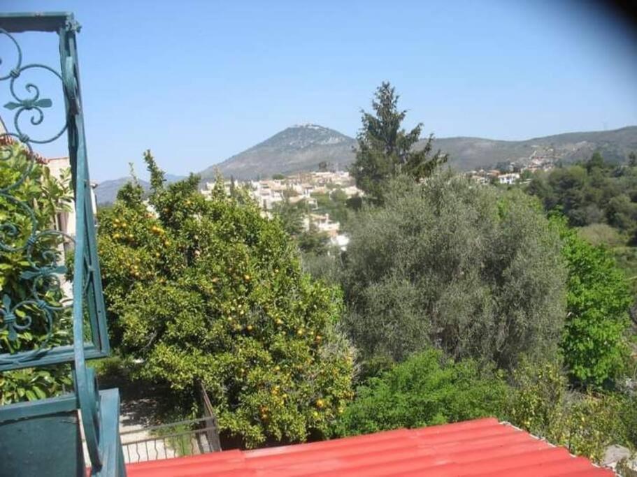 Maison Traditionnelle Sur Les Collines Nicoises Nice Dış mekan fotoğraf