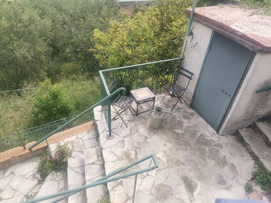 Maison Traditionnelle Sur Les Collines Nicoises Nice Dış mekan fotoğraf