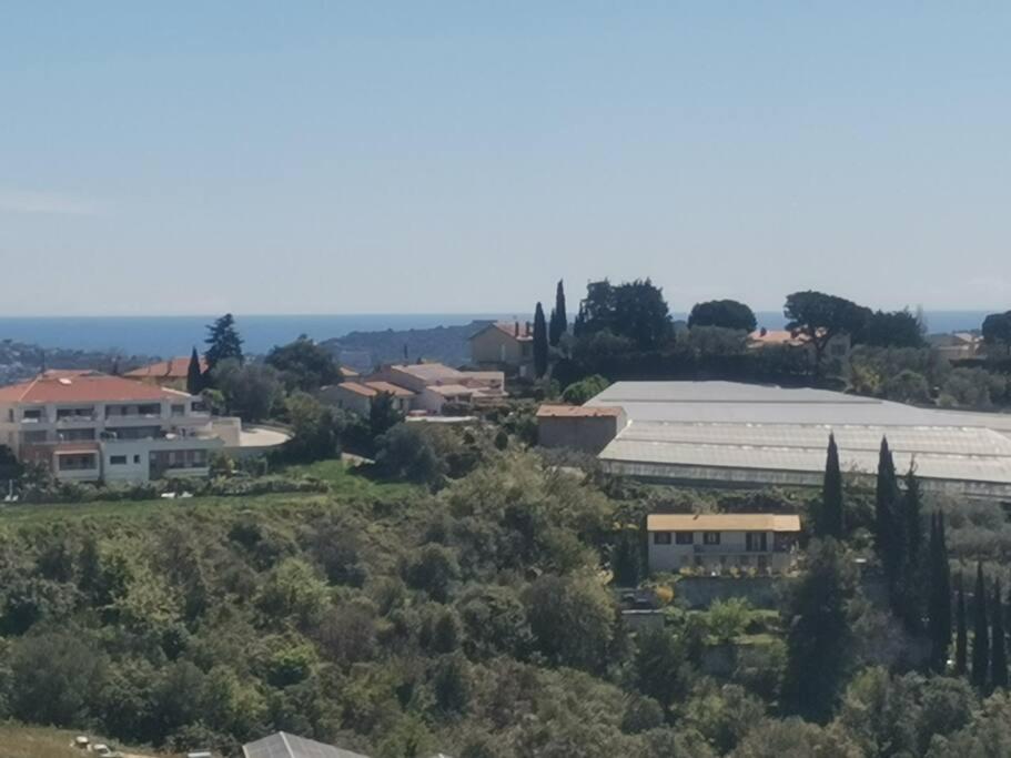 Maison Traditionnelle Sur Les Collines Nicoises Nice Dış mekan fotoğraf