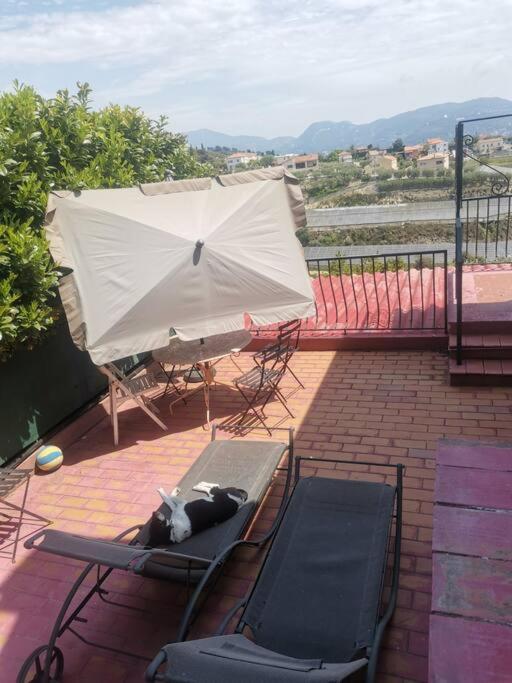 Maison Traditionnelle Sur Les Collines Nicoises Nice Dış mekan fotoğraf